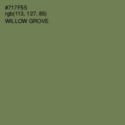 #717F55 - Willow Grove Color Image